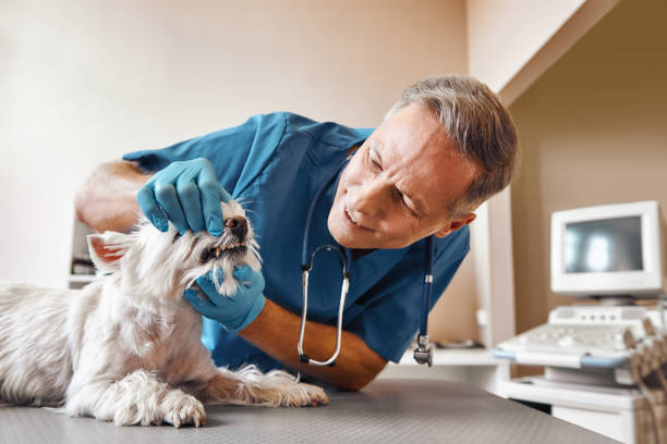 Best Emergency Dentist for Special Needs Patients in Fairfax, SC